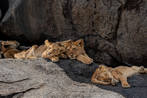 Safari de 3 jours | Parc national du Serengeti et cratère du Ngorongoro