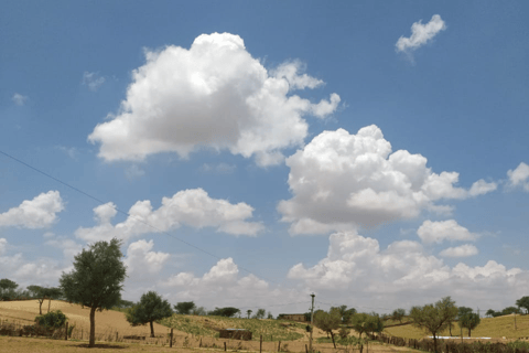 Jeep Safari In Desert Jodhapur