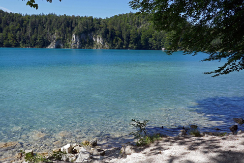 Munich: Premium Neuschwanstein Small-Group Tour by Train