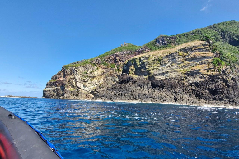 Corvo Island: Full Tour with Boat, Transfers, and Guide Corvo Island: Full Tour with Boat, Transfers, and Guide Included