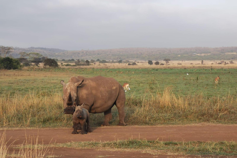 Excursion d&#039;une journée au parc national d&#039;Amboseli