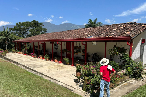 Medellín : Tournée des cafés dans les montagnes