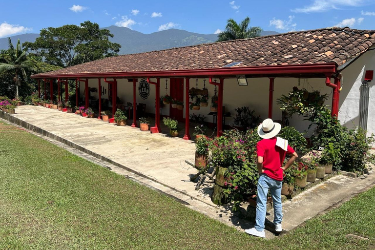 Medellín : Tournée des cafés dans les montagnes