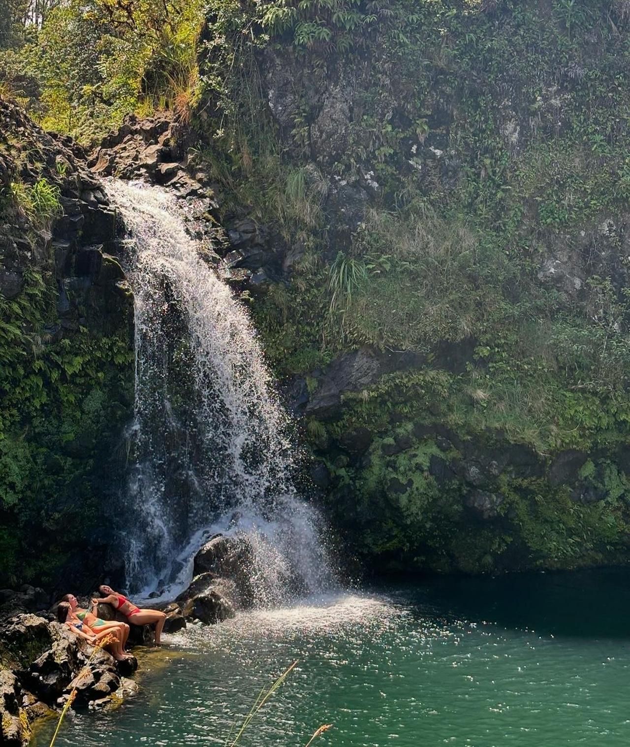 Maui: Meeresschildkröten & Wasserfälle: Ganztägige Tour auf der Straße nach Hana