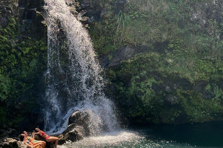 Maui Sea Turtles & Waterfalls: Full-Day Road to Hana Tour