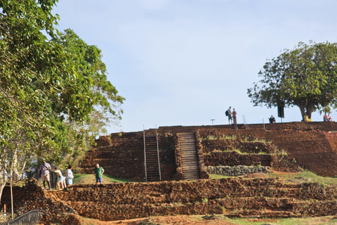 From Colombo: Sigiriya Rock and Dambulla Day Trip and Safari