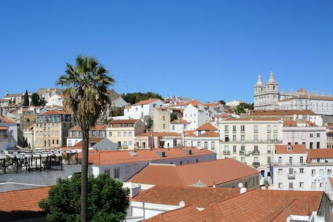 Lisbon: Half-Day City Tour Italian Preferred