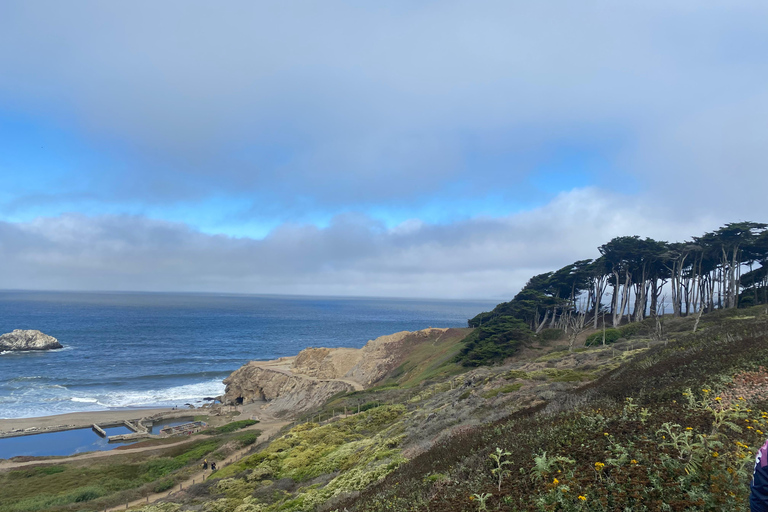 San Francisco City Tour with Bay Cruise Option City Tour with Bay Cruise
