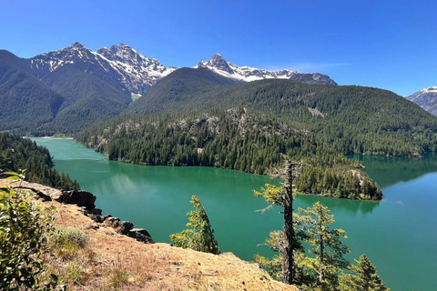 From Seattle: North Cascades National Park Day Tour