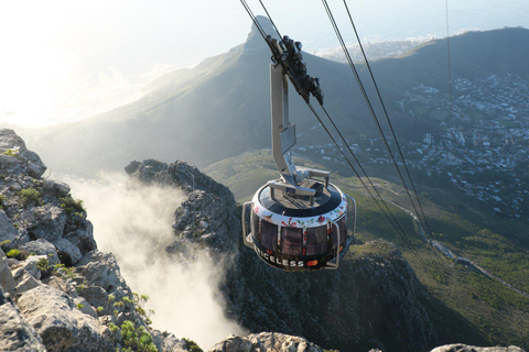 Cape Town: Table Mountain, Kirstenbosch Botanic Garden Tour Small Shared Group Tour ( All fees Entry are included)