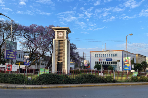 Arusha: City tour com serviço de busca no hotel e traslado de ida e volta