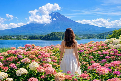 Tokyo: Mt Fuji & Arakurayama& Oshino Hakkai&Lake Kawaguchiko 8:00 AM | Shinjuku Station, West Exit