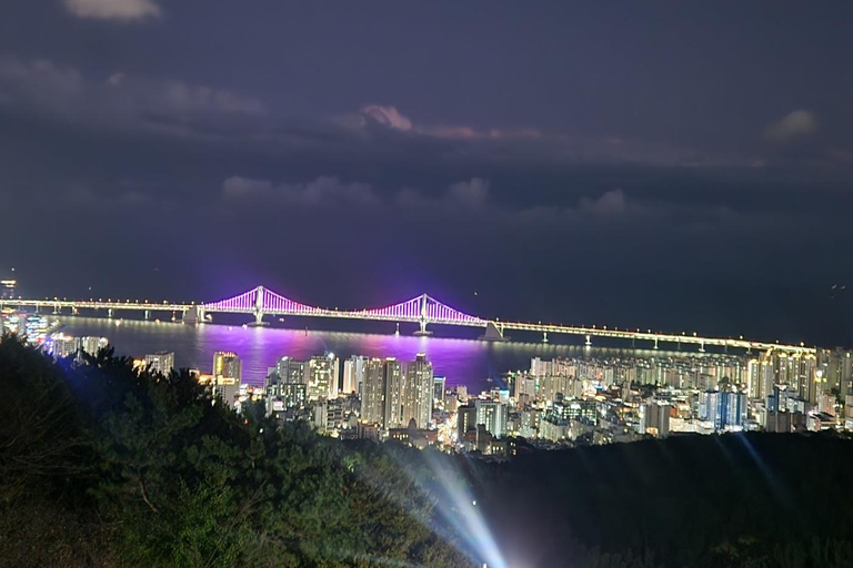 Tour noturno em Busan: Iate, montanha HwangnyeongsanGuia de turismo que fala inglês