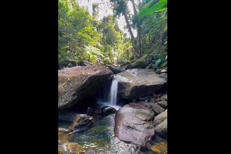 NanichiConcierge: El Yunque hiking (Contact first) NanichiConcierge: Tour with beautiful views and hiking.