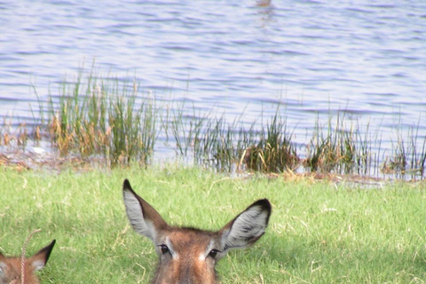 Nairobi Excursión privada de un día al Parque Nacional del Lago Nakuru