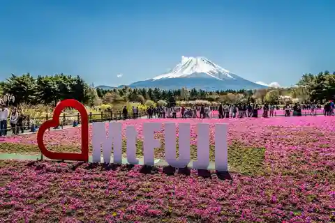 Tokyo/Yokohama: Mt.Fuji Day Trip w/English Speaking Driver
