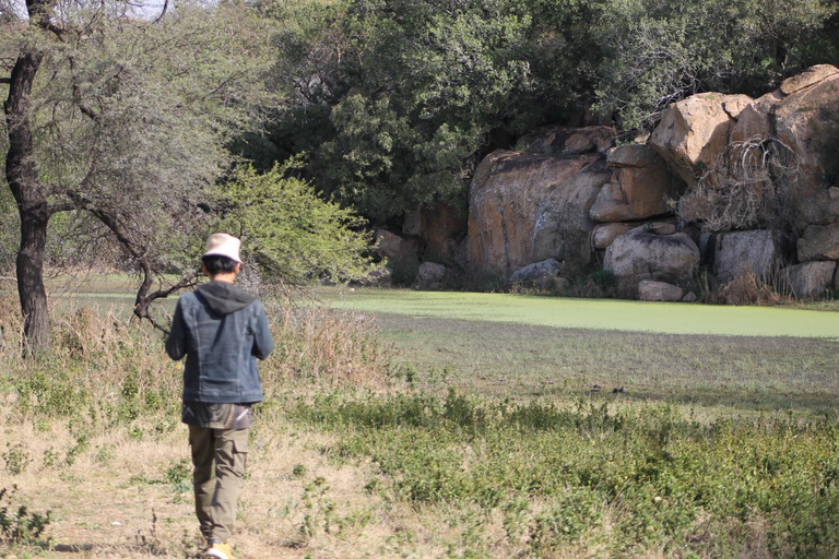 Gaborone: City Tour with Game Drive and Tswana Cuisine