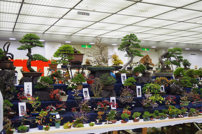 The 44th Japan Bonsai Taikan Exhibition Admission Ticket