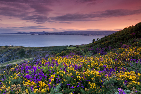 From Dublin: Howth Cliffs Guided Bus Tour