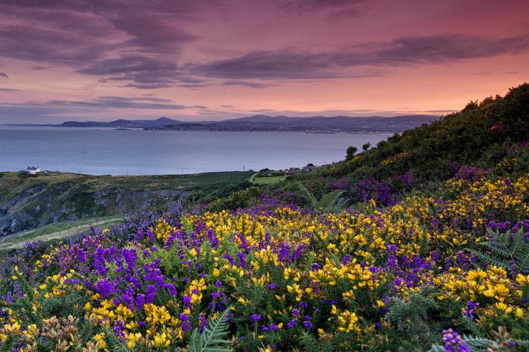 From Dublin: Howth Cliffs Guided Bus Tour