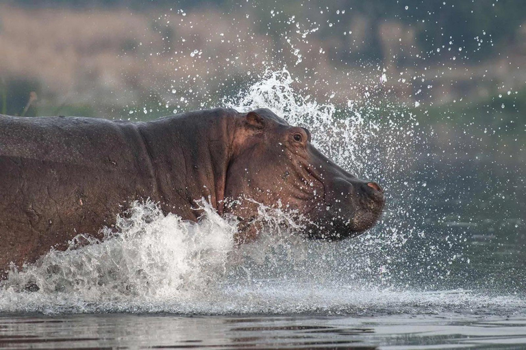 Kampala: Lake Mburo National Park 2-Day Safari Tour