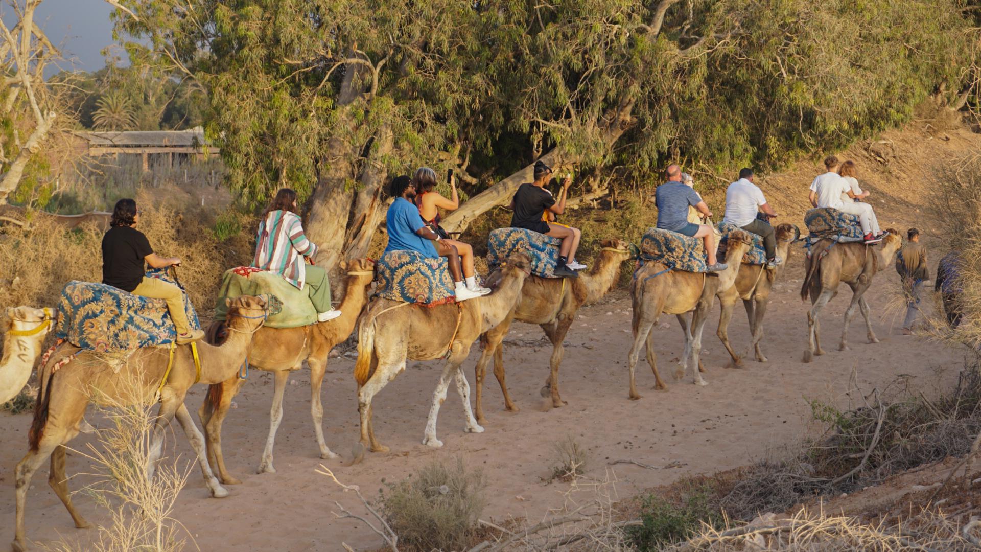 Agadir/Taghazout: Kamelritt mit Teetrinken und Transfers