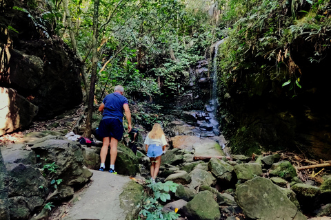 Rio de Janeiro: Tijuca Caves Guided Hike with Park Entry