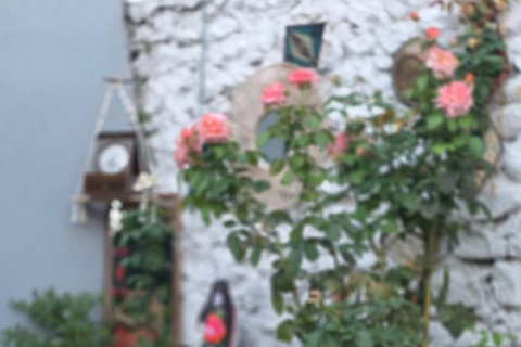 Traditional Food Tour in Shkodra with Garden Dinner The Vegetarian Garden Experience