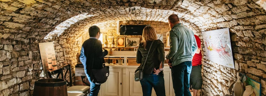 Au départ de Beaune : Excursion d'une journée en Bourgogne avec 14 dégustations de vins