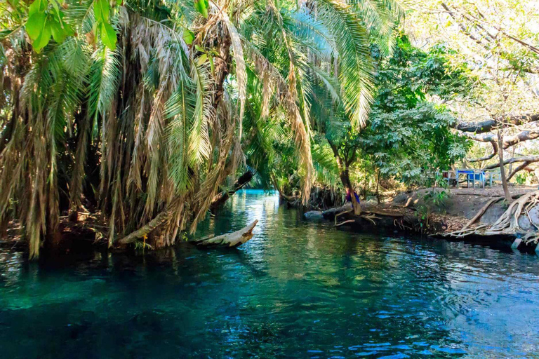 1 Day Private Kikuletwa Hotspring