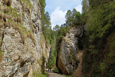 Brașov: Privat vandring i Piatra Craiului till Curmatura-stuganBrașov: Privat vandring i Piatra Craiului till Curmatura Cabin