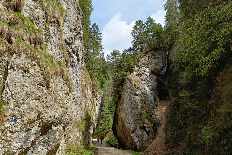 Brașov: Caminhada privada em Piatra Craiului até a cabana CurmaturaBrașov: Caminhada Privada de Piatra Craiului até a Cabana Curmatura