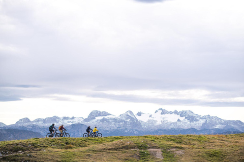 Chambery: Electric Mountain Bike rentalChambéry: wypożyczalnia elektrycznych rowerów górskich