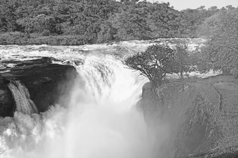 3 dias nas cataratas de Murchison e cruzeiro de barco