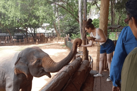 Mirissa: Udawalawe i YALA Safaris + lunch, wylot: Ella