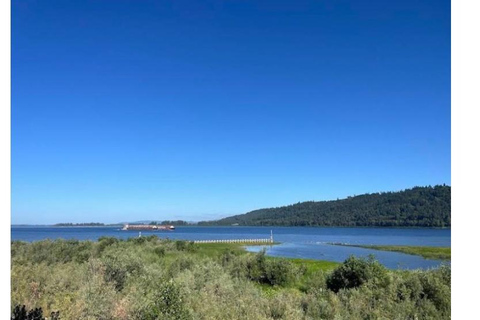 Portland: Columbia River Gorge Private Tour with Pickup