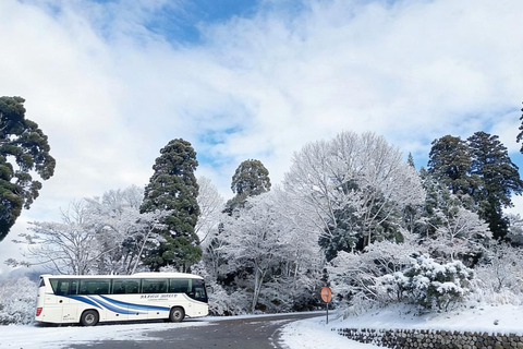 Two-Day Kamikochi & Tateyama Kurobe Snow Corridor Tour