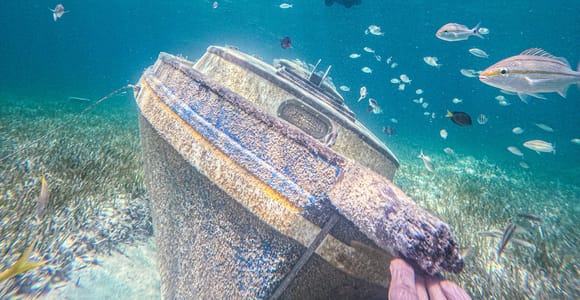 Nassau: Sunken Sculpture Snorkel & Lunch at Sun Cay