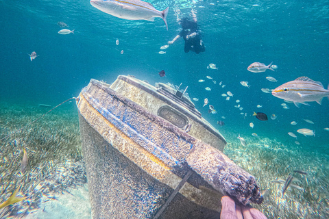 Nassau: gita di un giorno a Sun Cay, snorkeling, incontro con l'iguana e pranzo
