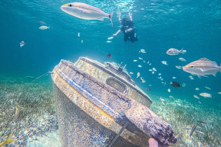 Nassau: jednodniowa wycieczka do SunCay, nurkowanie z rurką, spotkanie z iguaną i lunch