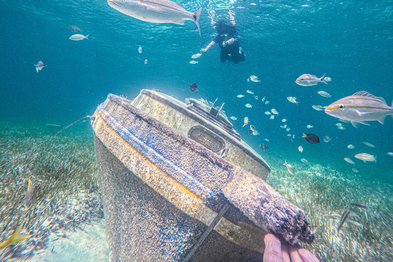 Nassau: gita di un giorno a Sun Cay, snorkeling, incontro con l'iguana e pranzo