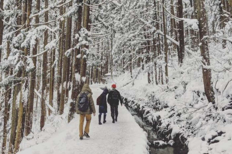 طوكيو جولة خاصة ليوم واحد في حديقة القرود الثلجية ومعبد زينكوجيجولة قرد الثلج ومعبد زينكوجي في سيا