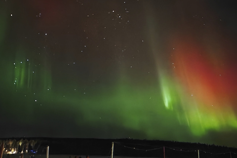 Rovaniemi: Northern Lights Campfire Trip - a New Budget Tour