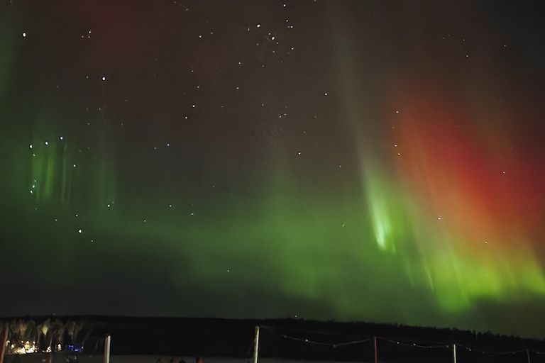 Rovaniemi: Northern Lights Campfire Trip - a New Budget Tour