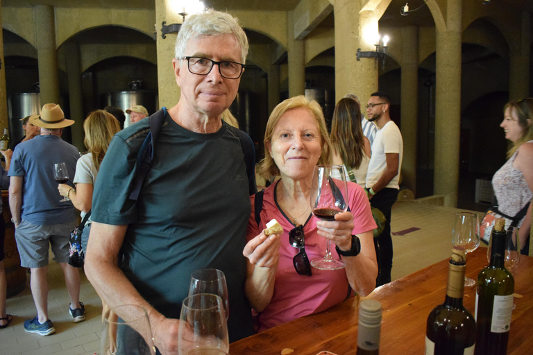 Aventure vélo et vin dans les Andes Pédalez et dégustezAventure vélo et vin dans la Cordillère des Andes : Pédalez et dégustez