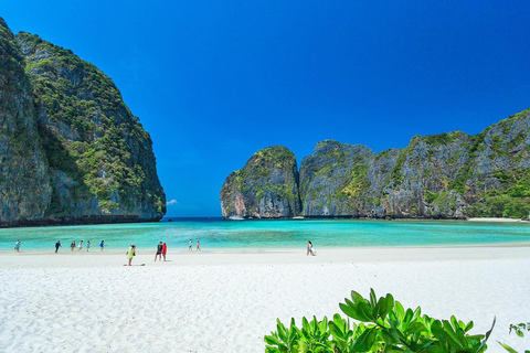 Phuket: Phi Phi Islands Day Trip with Meals & Transfer
