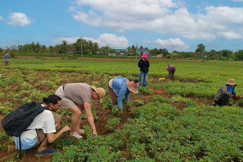 Battambang: Bamboo Train, Killing Cave, & Bat Cave Tour
