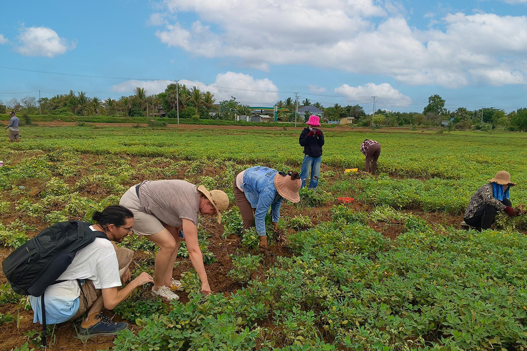 Battambang: Bamboo Train, Killing Cave, & Bat Cave Tour