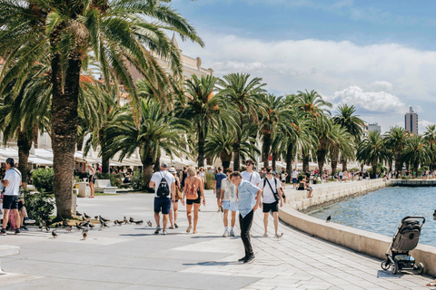 Split: Diocletianus palats och Gamla stan Guidad promenad tur