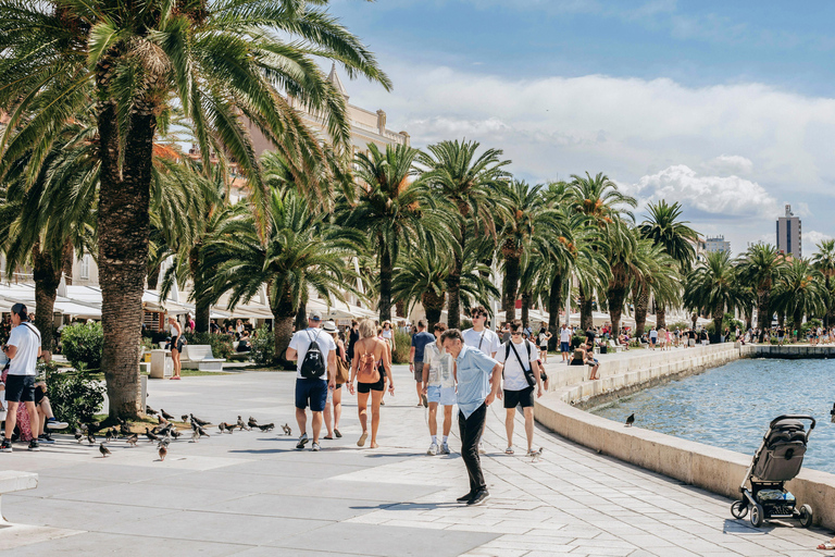 Split: Diocletian&#039;s Palace and Old Town Guided Walking Tour